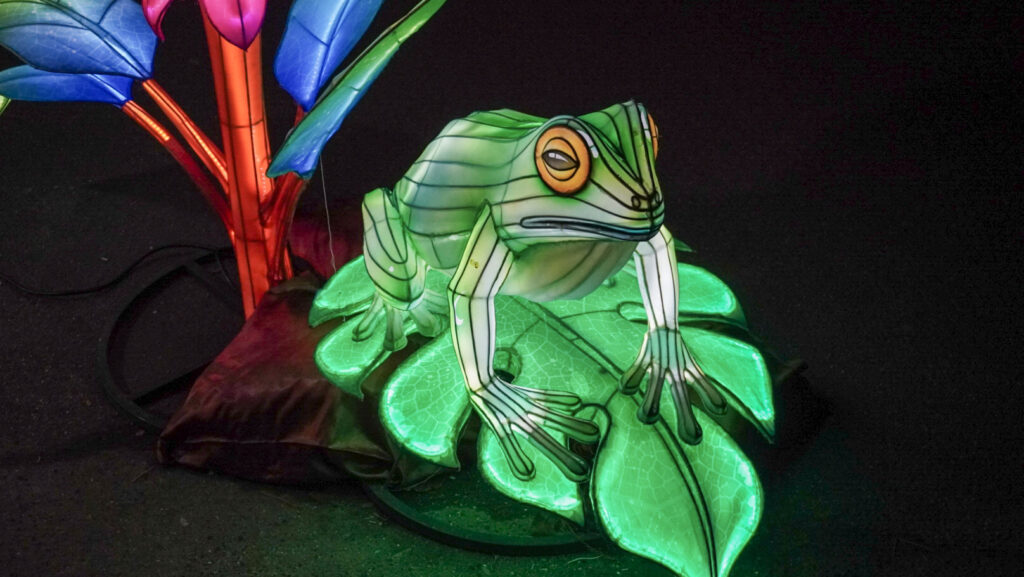 China Lights im K&ouml;lner Zoo