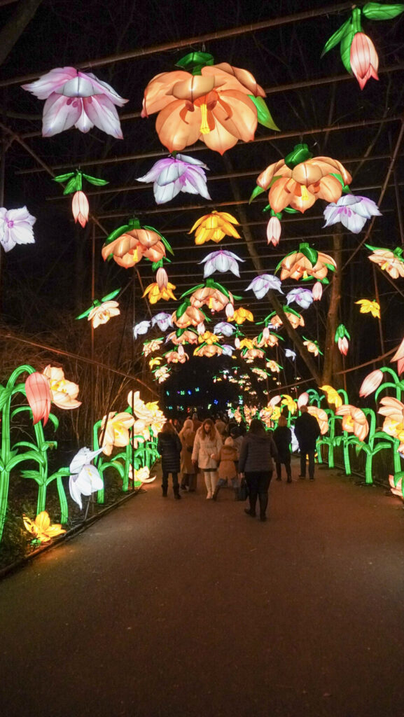 China Lights im K&ouml;lner Zoo
