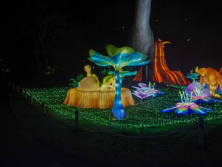 China Lights im K&ouml;lner Zoo