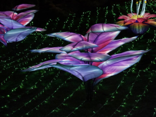 China Lights im K&ouml;lner Zoo