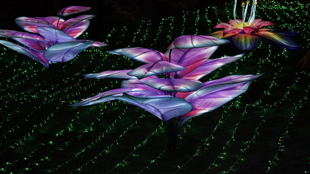 China Lights im K&ouml;lner Zoo