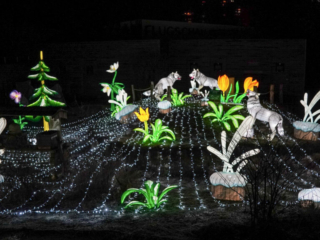 China Lights im K&ouml;lner Zoo