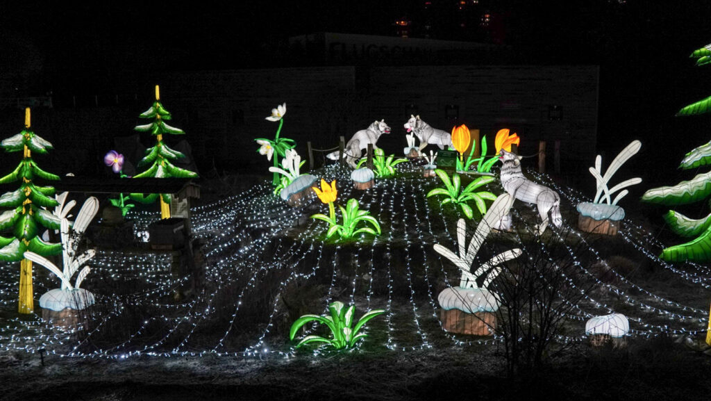 China Lights im K&ouml;lner Zoo