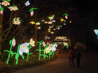 China Lights im K&ouml;lner Zoo