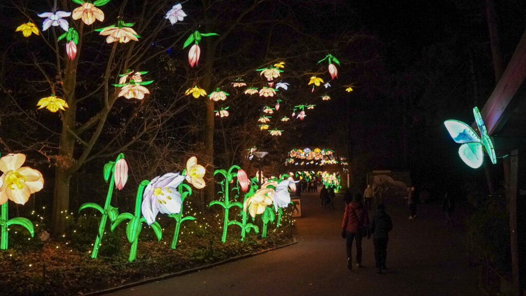 China Lights im K&ouml;lner Zoo