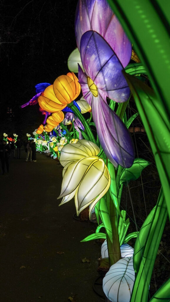 China Lights im K&ouml;lner Zoo