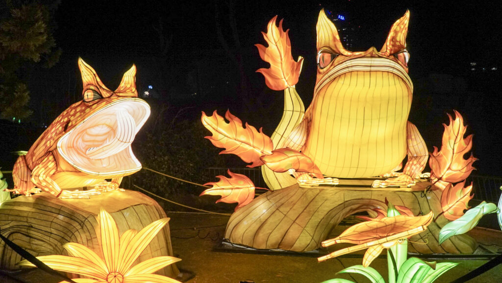 China Lights im K&ouml;lner Zoo