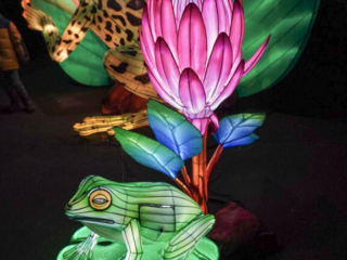 China Lights im K&ouml;lner Zoo