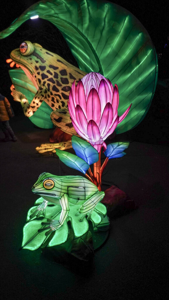 China Lights im K&ouml;lner Zoo