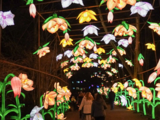 China Lights im K&ouml;lner Zoo