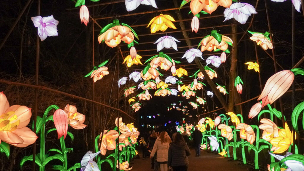 China Lights im K&ouml;lner Zoo