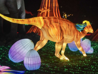 China Lights im K&ouml;lner Zoo