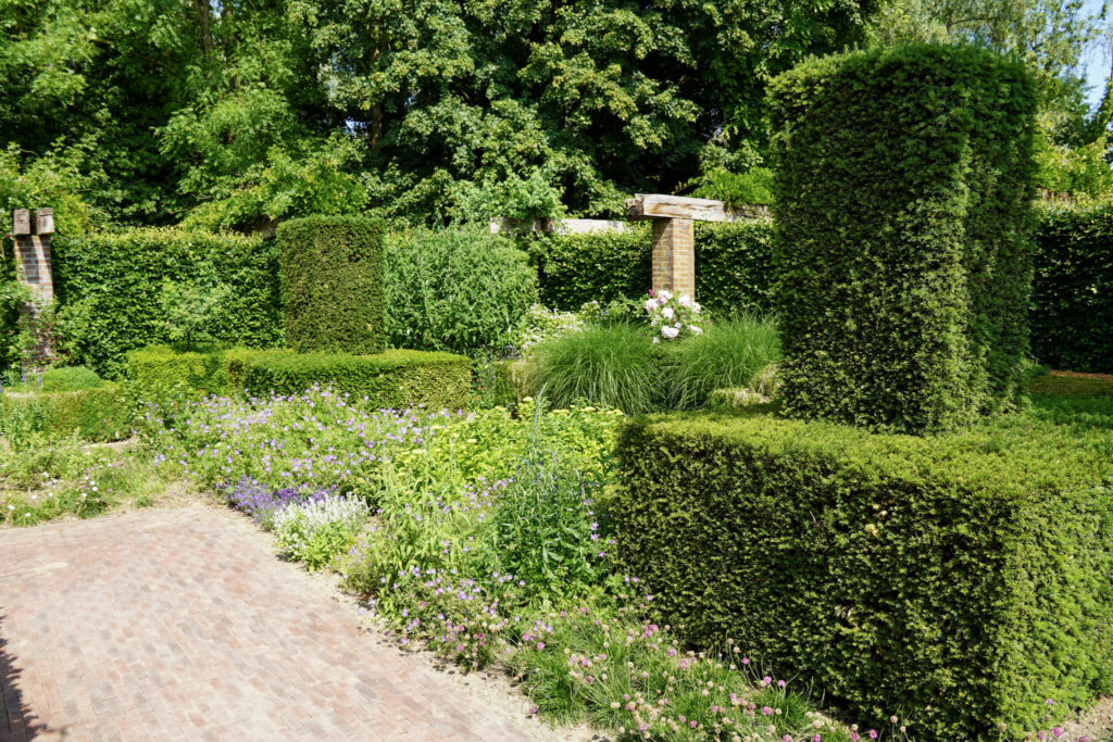El Mundo Fantasia - Mondo Verde