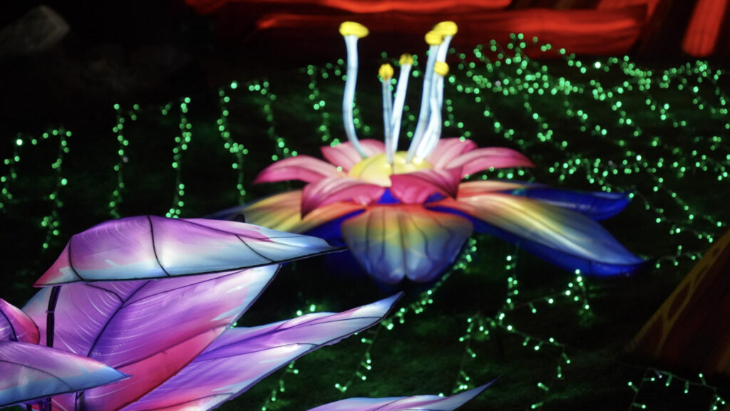 China Lights im K&ouml;lner Zoo