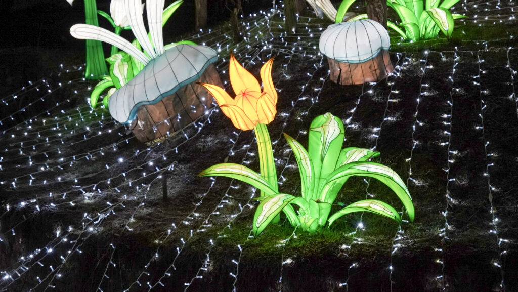 China Lights im K&ouml;lner Zoo