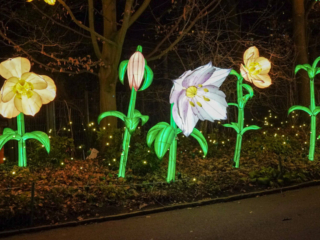 China Lights im K&ouml;lner Zoo