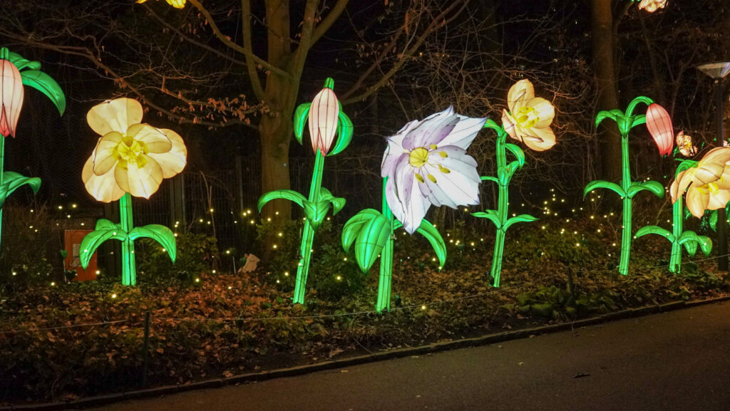 China Lights im K&ouml;lner Zoo