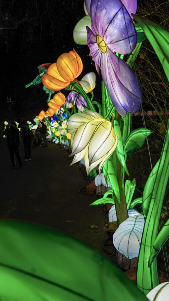 China Lights im K&ouml;lner Zoo