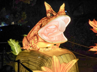 China Lights im K&ouml;lner Zoo