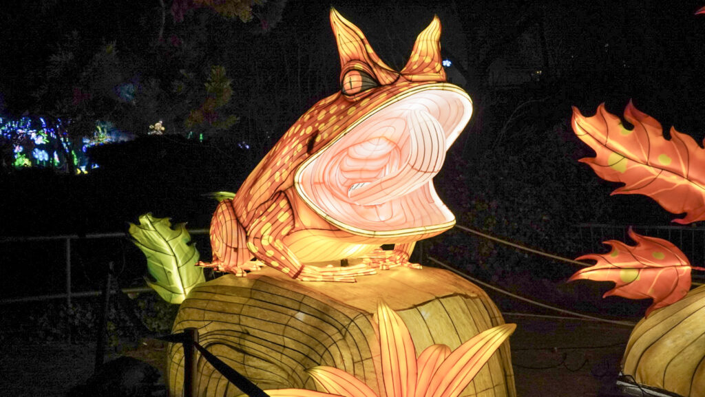 China Lights im K&ouml;lner Zoo