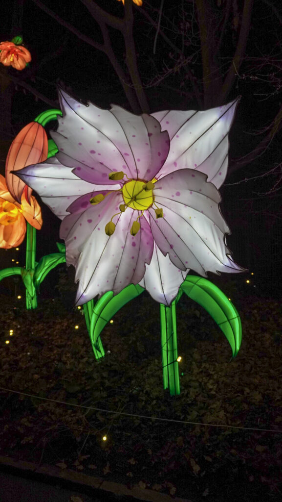 China Lights im K&ouml;lner Zoo