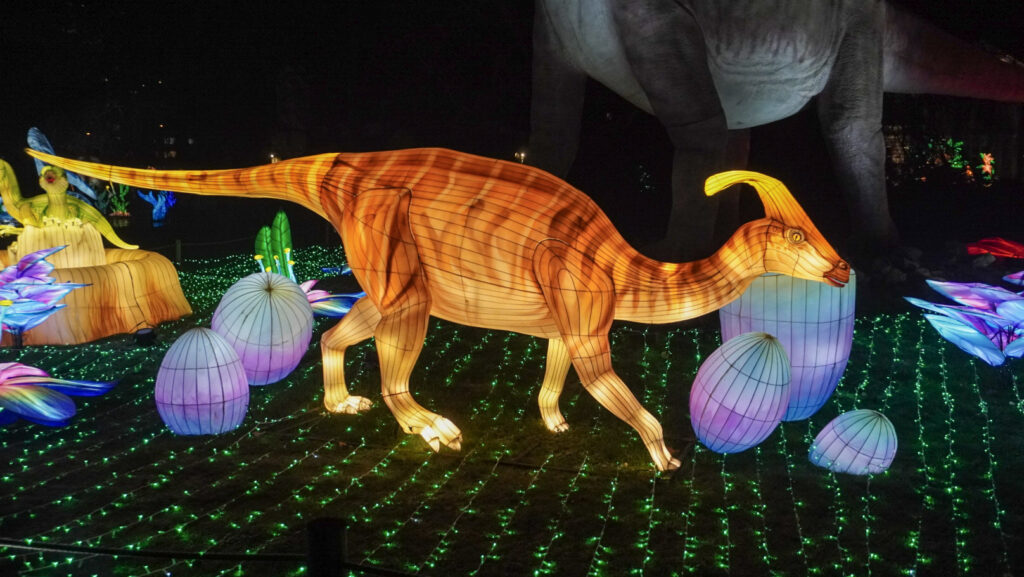 China Lights im K&ouml;lner Zoo