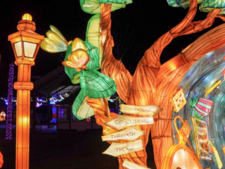Garden of Lights Garden of Lights