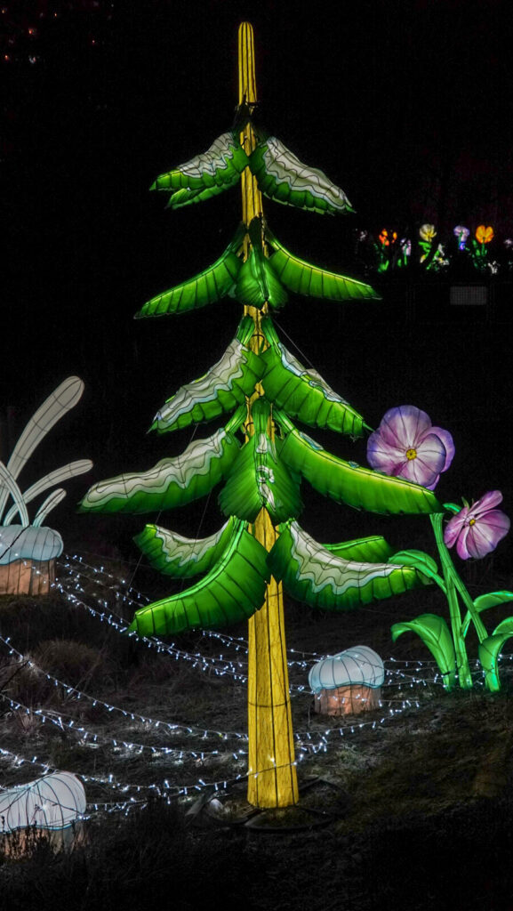 China Lights im K&ouml;lner Zoo