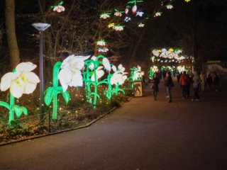 China Lights im K&ouml;lner Zoo