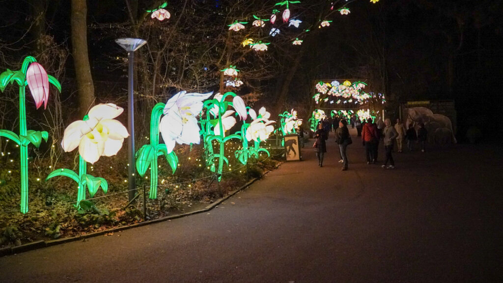 China Lights im K&ouml;lner Zoo