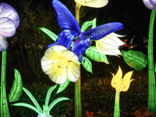 China Lights im K&ouml;lner Zoo