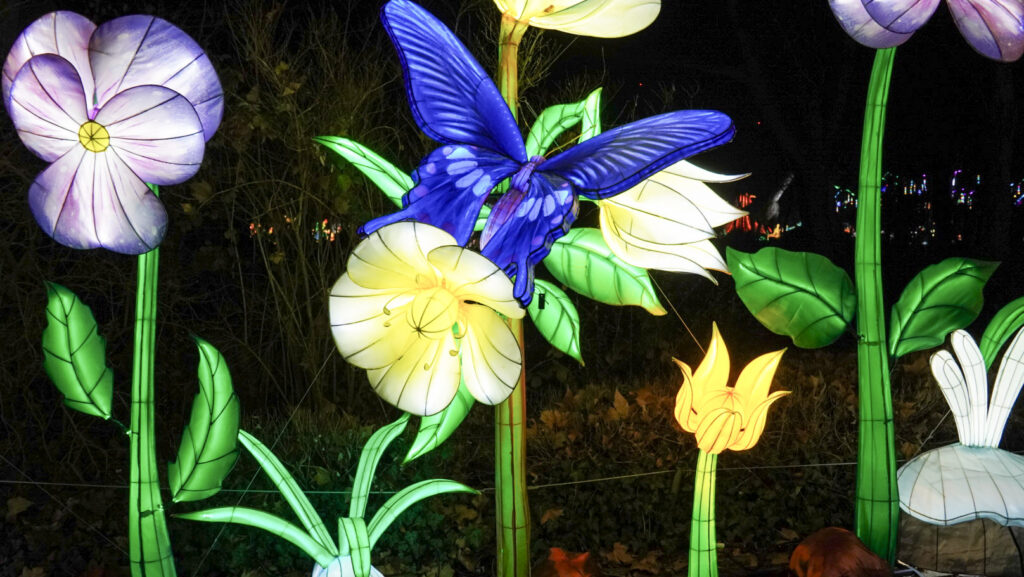 China Lights im K&ouml;lner Zoo