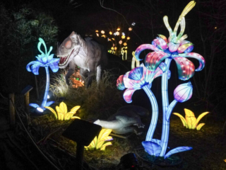 China Lights im K&ouml;lner Zoo