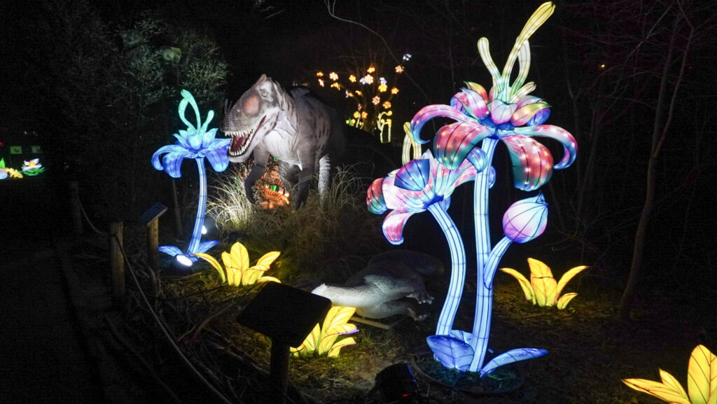 China Lights im K&ouml;lner Zoo