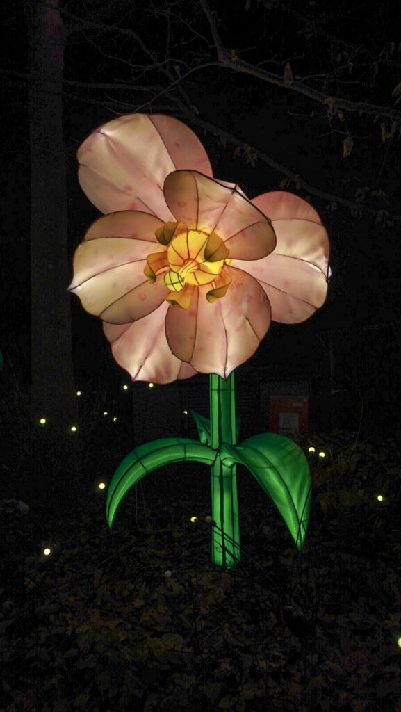 China Lights im K&ouml;lner Zoo