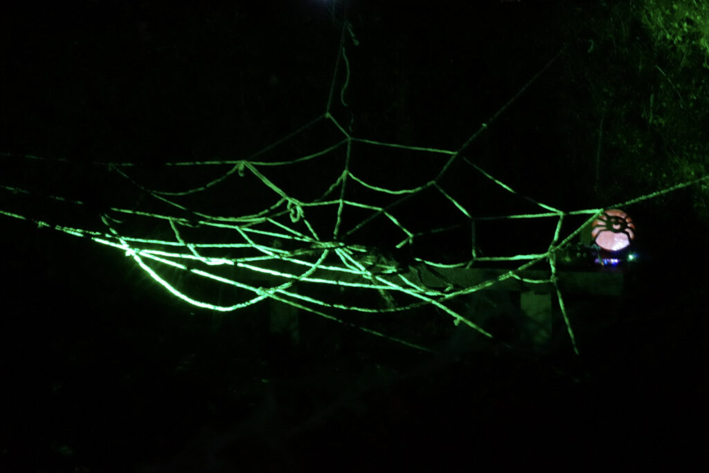 Herbstlichter Br&uuml;ckenkopfpark J&uuml;lich