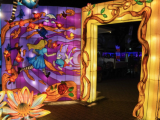 Garden of Lights Garden of Lights