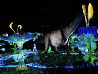 China Lights im K&ouml;lner Zoo