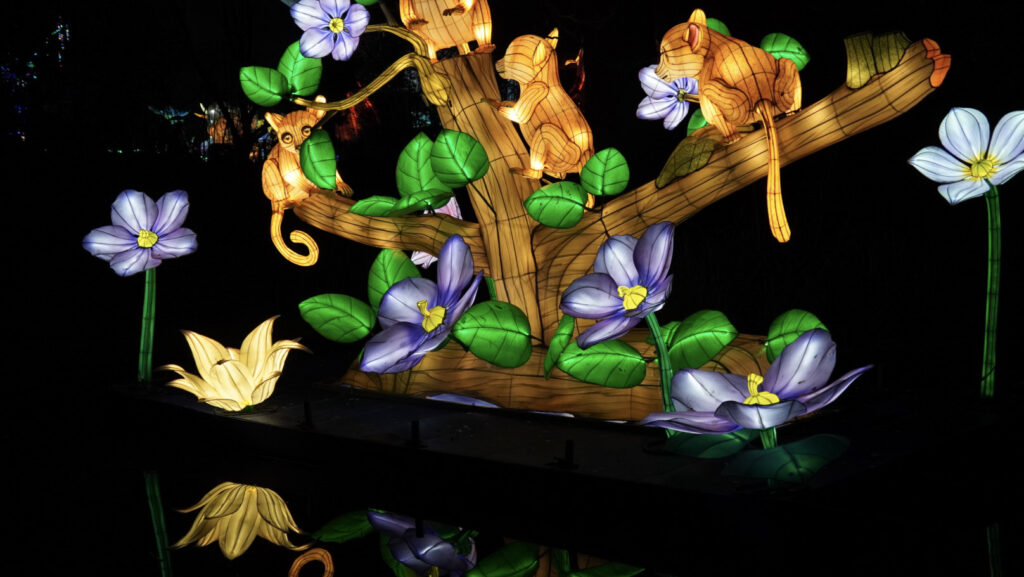 China Lights im K&ouml;lner Zoo