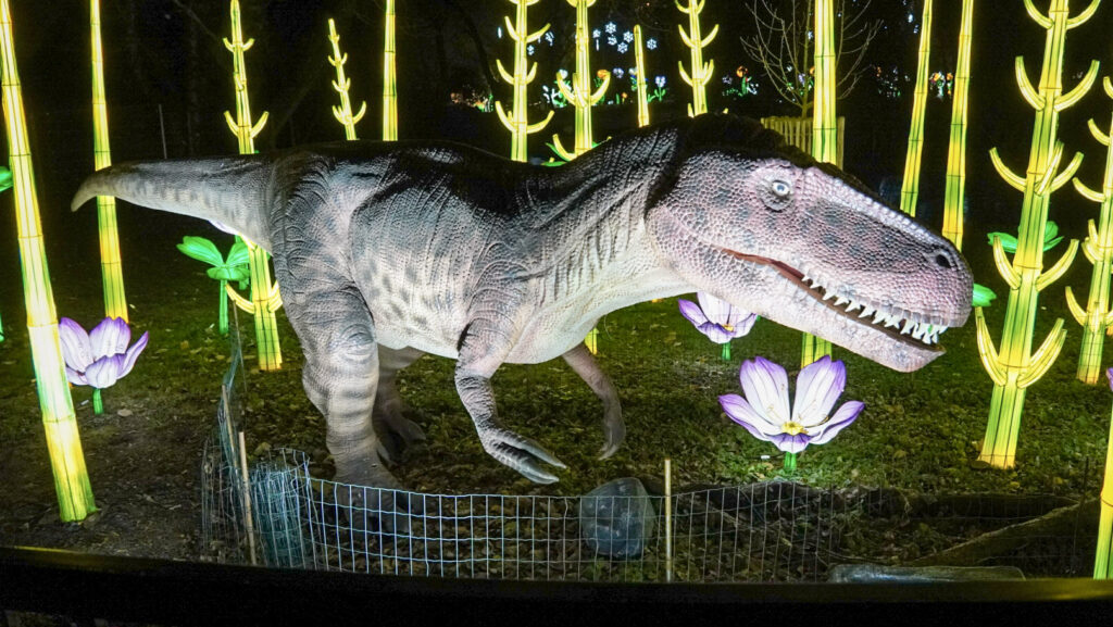 China Lights im K&ouml;lner Zoo