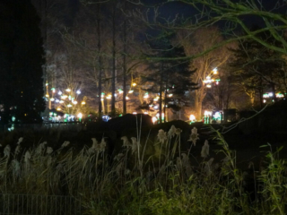 China Lights im K&ouml;lner Zoo