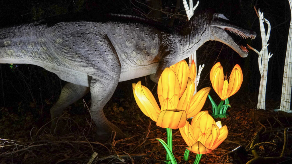 China Lights im K&ouml;lner Zoo