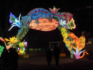 China Lights im K&ouml;lner Zoo