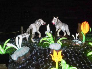 China Lights im K&ouml;lner Zoo