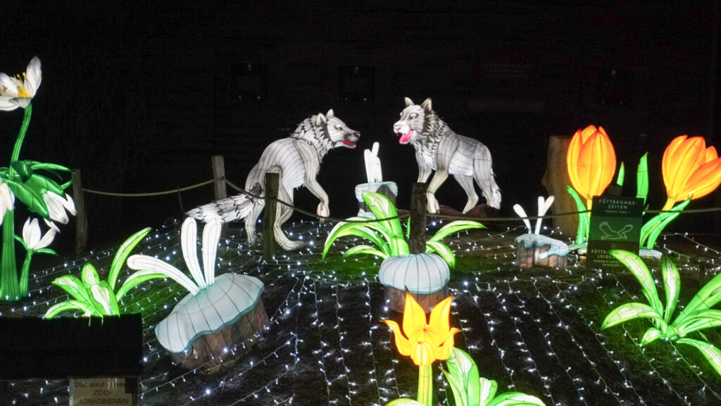 China Lights im K&ouml;lner Zoo