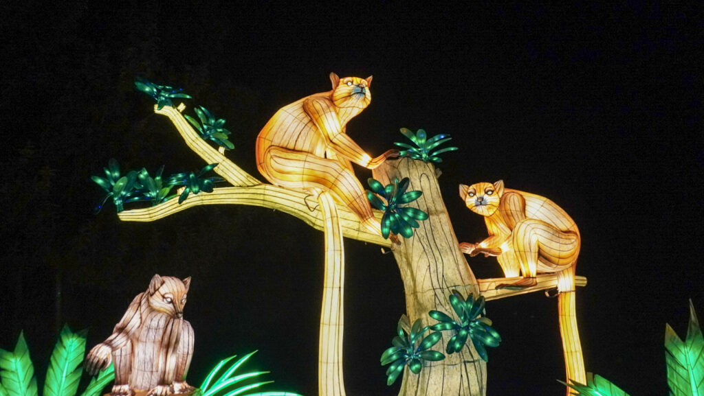 China Lights im K&ouml;lner Zoo