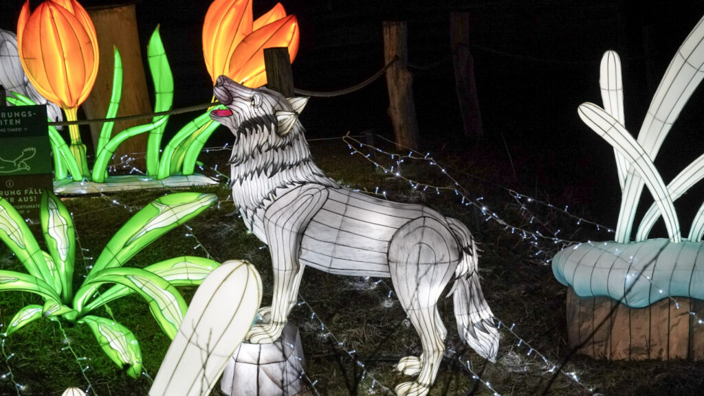 China Lights im K&ouml;lner Zoo