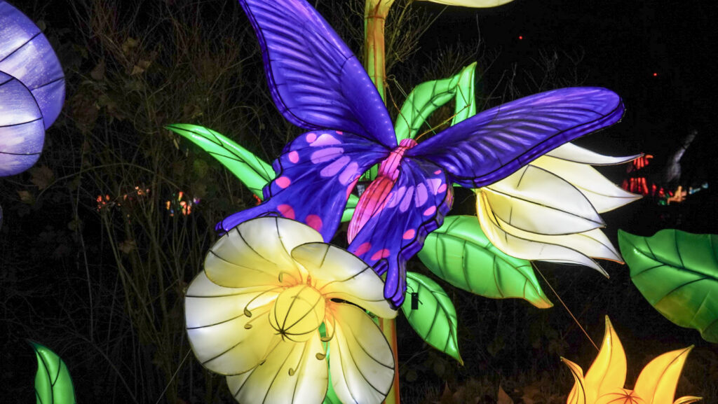 China Lights im K&ouml;lner Zoo