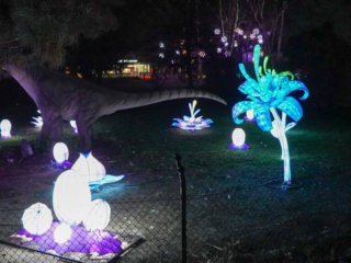 China Lights im K&ouml;lner Zoo