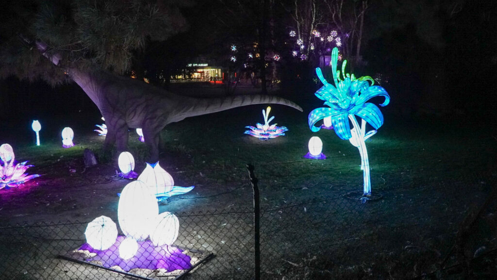 China Lights im K&ouml;lner Zoo